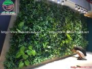 Vườn tường cây nhựa Nguyễn Huy Tưởng