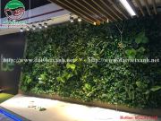 Vườn tường cây nhựa Nguyễn Huy Tưởng