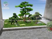 Thiết kế sân vườn công trình biệt thự Phủ Tây Hồ - Hà Nội