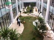 Tiểu cảnh sân vườn biệt thự nhà anh Thịnh - Ninh Bình