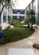 Tiểu cảnh sân vườn biệt thự nhà anh Thịnh - Ninh Bình