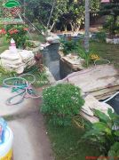 Tiểu cảnh sân vườn kết hợp hòn non bộ nhà anh Linh - Hòa Bình