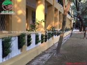 Vườn tường trường đại học Thủ Đô - Vĩnh Phúc - Hoàng Hoa Thám - Hà Nội